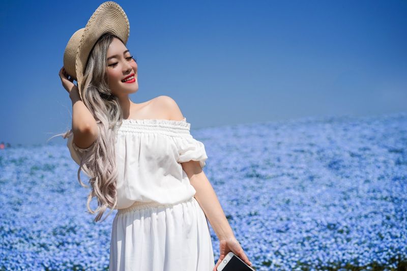 cánh đồng hoa Nemophila cánh đồng hoa Nemophila